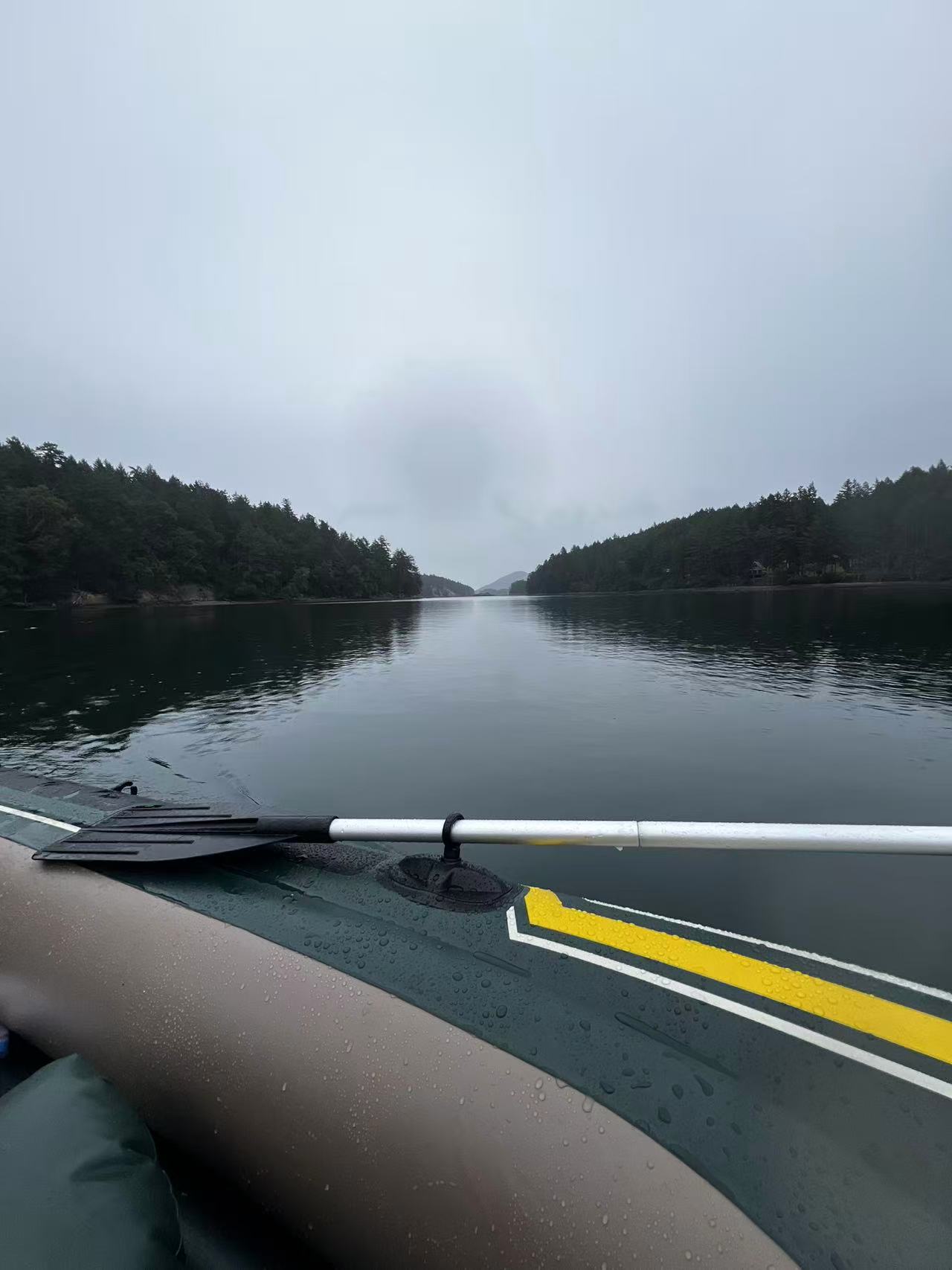 Spore Collecting Along the Coast of Mayne Island