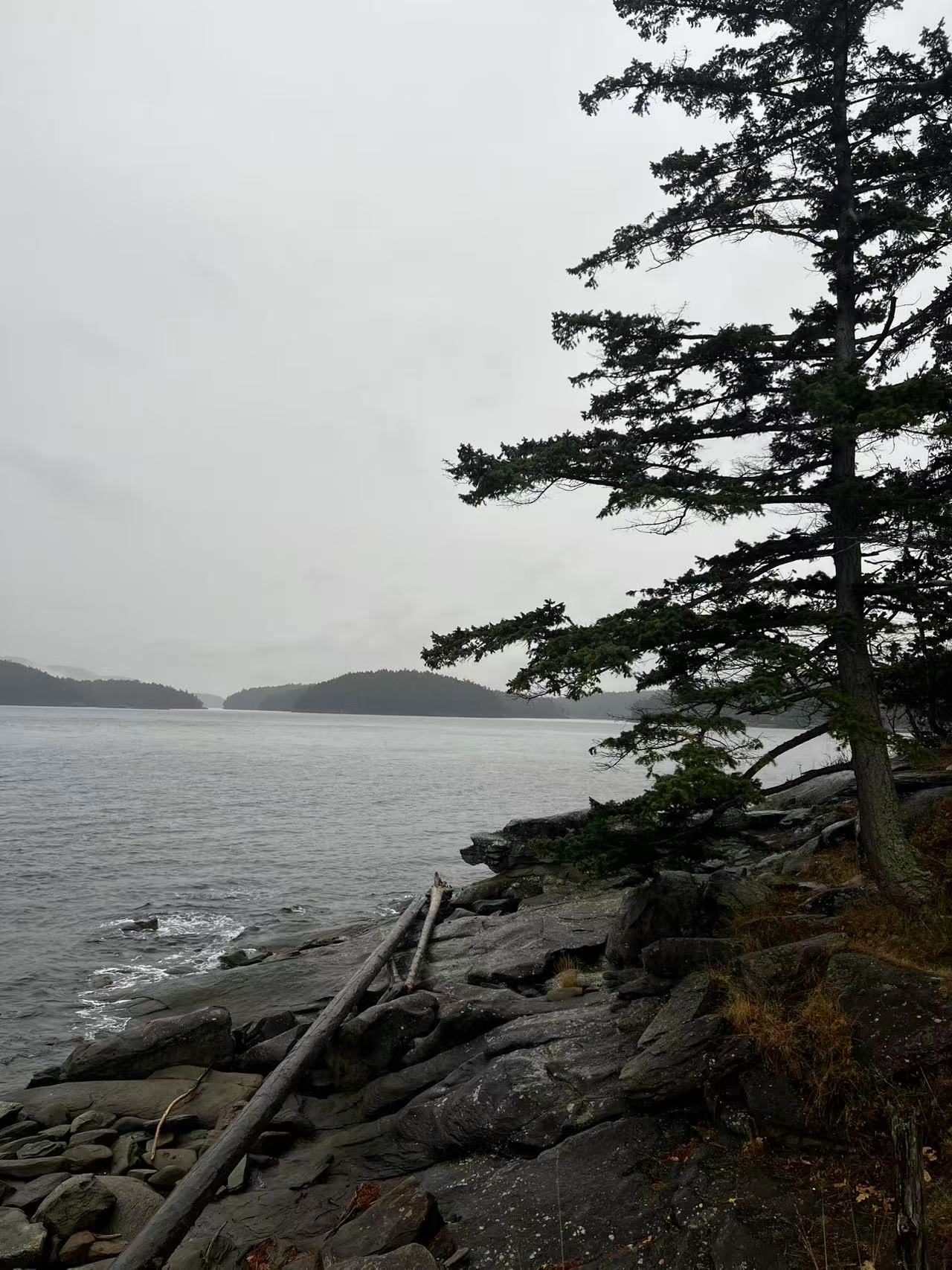 Mayne Island Site #1