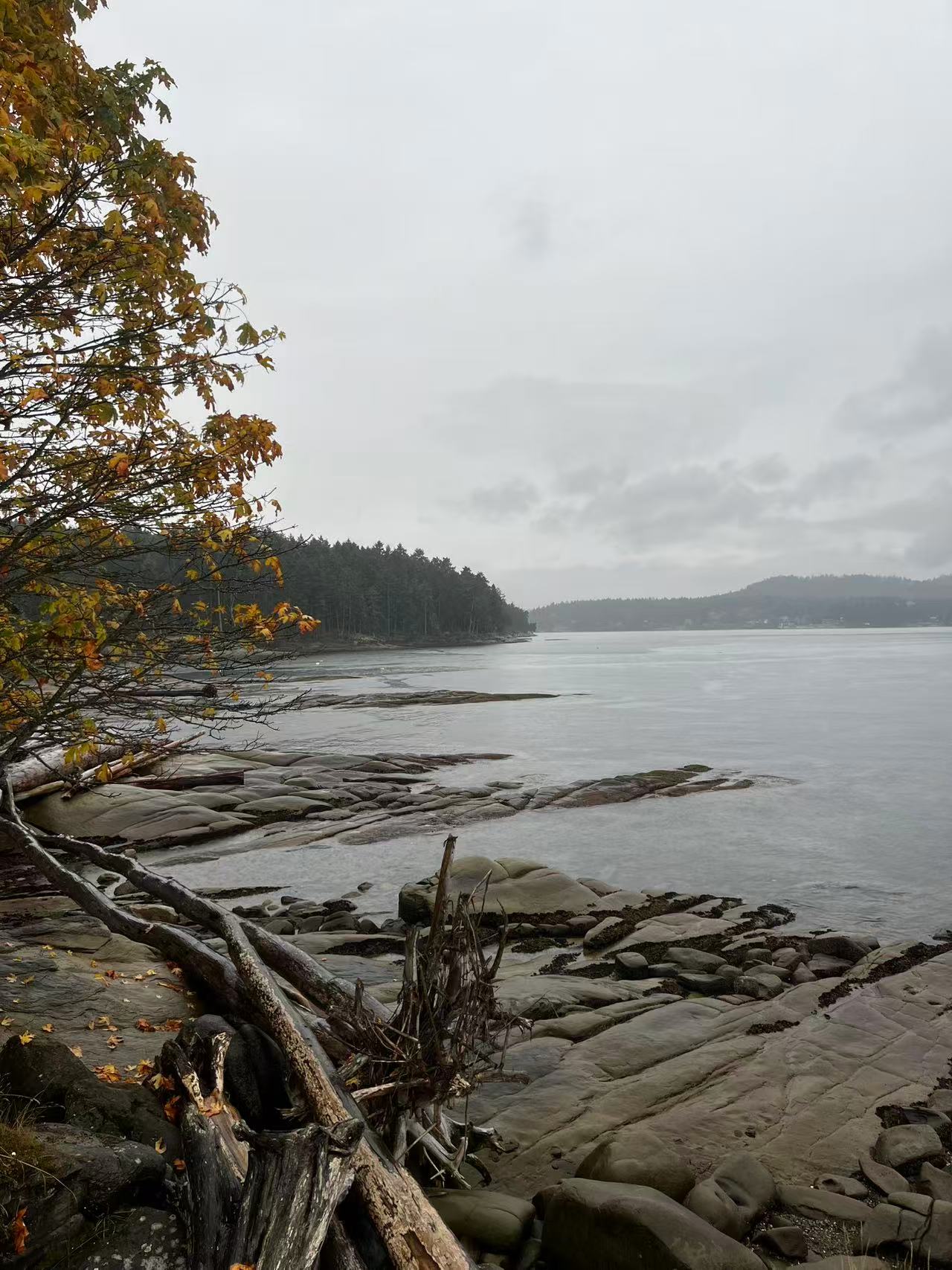 Mayne Island Site #2